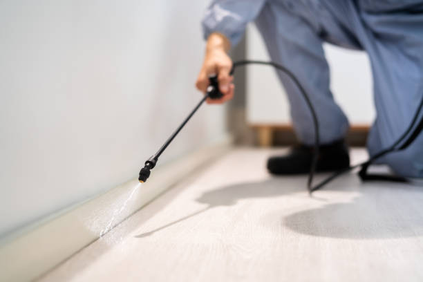 Licensed Cockroach Control service in Roanoke, TX - Nex Pest Control