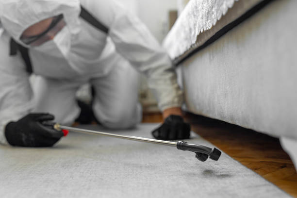Professional Cockroach Control technician working in Roanoke, TX