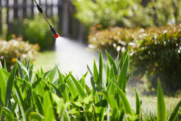24/7 Emergency Cockroach Control experts in Roanoke, TX