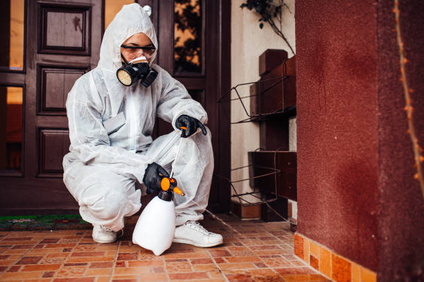 Reliable Cockroach Control contractor in Roanoke, TX by Nex Pest Control